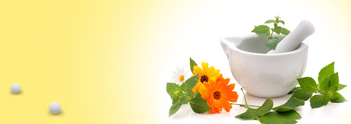 Book Appointment Now